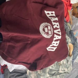 harvard champion hoodie